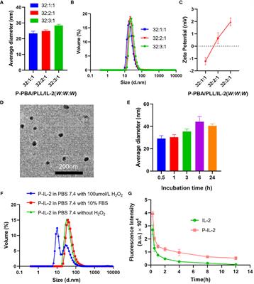 The combination of IL-2 nanoparticles and Palbociclib enhances the anti-tumor immune response for colon cancer therapy